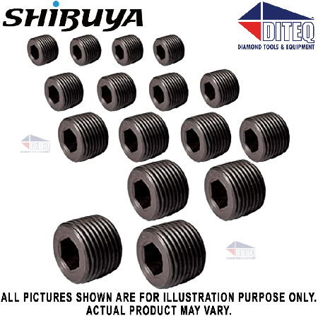 Shibuya Plug Hex Socket