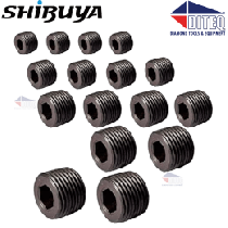 Shibuya Plug Hex Socket