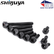 Shibuya Hex Socket Screw