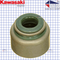 Kawasaki Oil Seal FS481